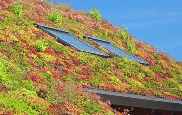St Gennys living roof systems